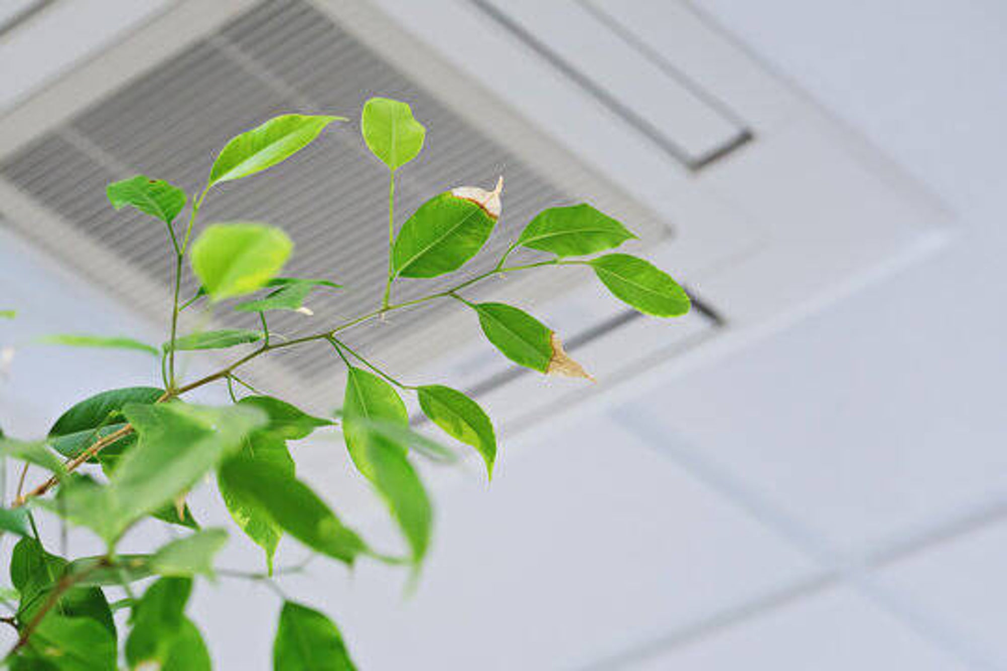 Clean, well-maintained HVAC equipment